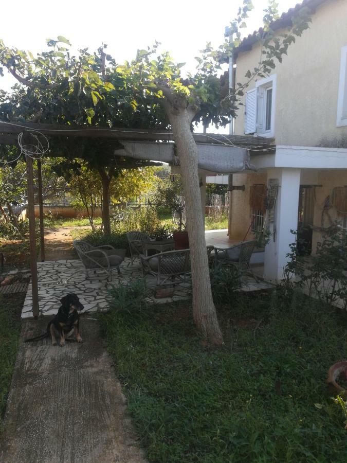 Country Rooms Near Athens - Airport Враврона Екстер'єр фото
